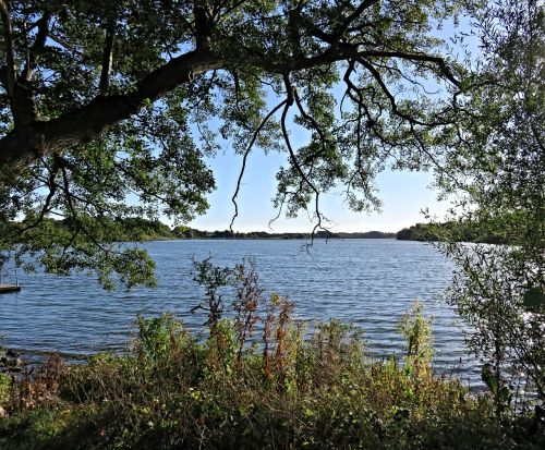 Kraštovaizdis, Šiaurinis Borgerio Ežeras, Denmark, Sala Kaip, Ežeras, Takas, Gamta, Gražiai Atrodo