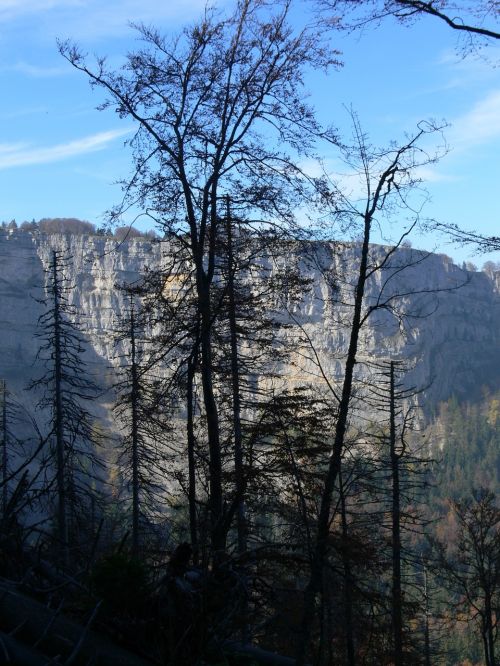 Kraštovaizdis, Kalnas, Gamta, Žygiai, Miškas, Šveicarija