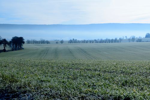 Kraštovaizdis, Sušaldyta, Auskaras, Ariamasis, Šaltis, Šaltas