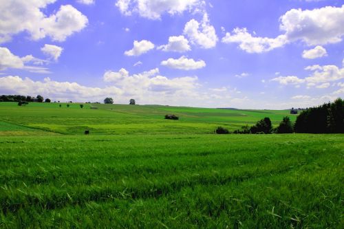 Kraštovaizdis, Pieva, Horizontas, Kalnas, Žalias, Dangus, Gamta, Laukas, Žolės