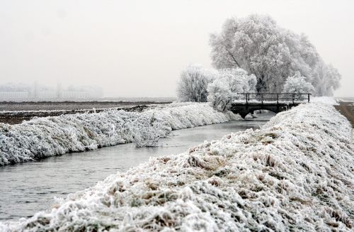 Kraštovaizdis, Žiema, Laukas, Alsace, France, Gamta, Šaltis, Šaltas