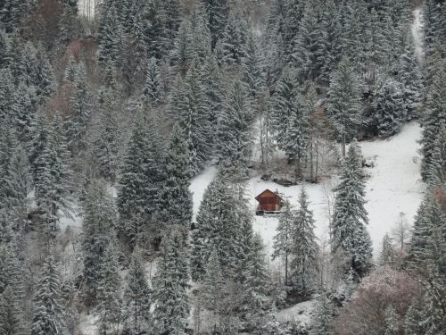Kraštovaizdis, Kalnas, Šveicarija, Gamta, Sniegas, Panorama, Medžiai, Vista, Žiema