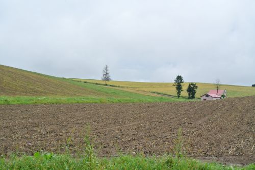 Kraštovaizdis, Natūralus, Hokaidas, Žemė, Lauke