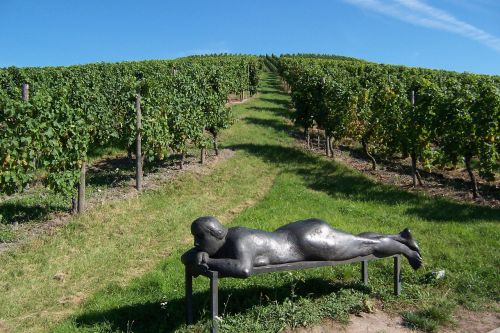 Kraštovaizdis, Skulptūra, Vynuogynas, Vynuogių Auginimas, Skulptoriaus Kelias, Weinstadt-Strümpfelbach