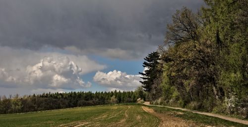 Kraštovaizdis, Debesys, Miškas, Kelias, Lenkija, Laukas, Dangus, Vaizdas, Gamta