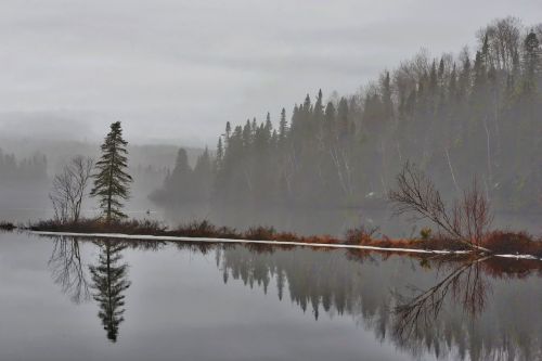 Kraštovaizdis, Gamta, Rūkas, Medžiai, Vanduo, Apmąstymai, Québec, Kanada