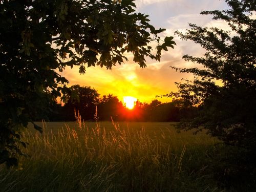 Kraštovaizdis, Saulėlydis, Dusk, Laukas