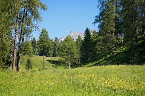 Kraštovaizdis, Gamta, Pieva, Medžiai, Kalnai, Dangus, Laikas Baigėsi, Gražus, Austria