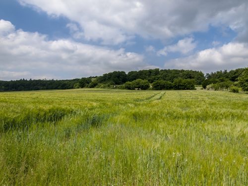 Kraštovaizdis, Laukas, Debesys