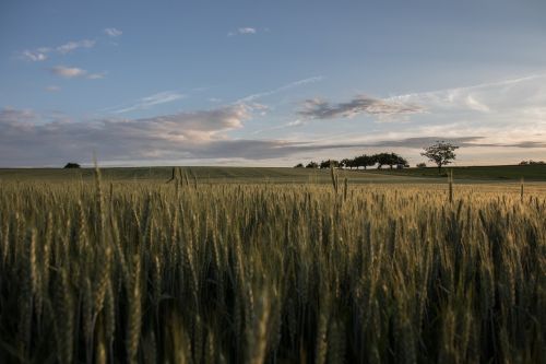 Kraštovaizdis, Vasara, Gamta, Dangus, Kalnas, Gražus Oras, Pieva