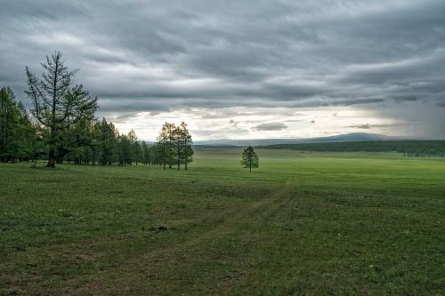 Kraštovaizdis, Pieva Ir Miškas, Tigras, Debesuota Dangaus, Faksas Į Šiaurės Vakarų Dalį, Mongolija