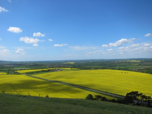 Kraštovaizdis, Vasaros Kraštovaizdis, Rapsai, Kaimas, Laukas, Kaimas, Oras, Ūkis, Scena, Aplinka, Saulėtas, Debesis, Dangus, Horizontas, Mėlynas, Sezonas, Lauke, Perspektyva, Gamta, Žalias, Geltona, Panorama, Kalnas