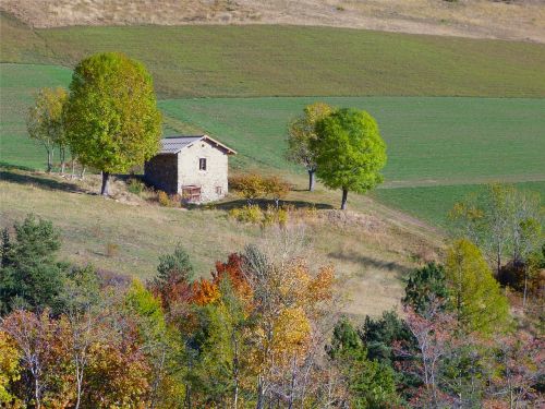 Kraštovaizdis, Laukas, Namas