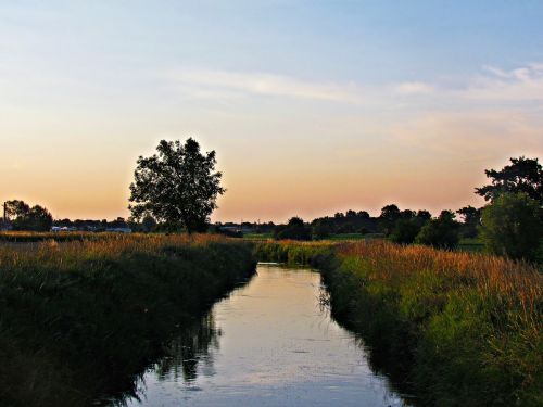 Kraštovaizdis, Laukas, Gamta, Pieva, Pavasaris