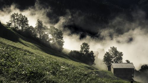 Kraštovaizdis, Gamta, Vaizdingas, Austria, Stalas, Ruduo, Rūkas