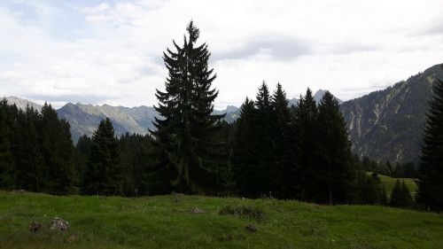 Kraštovaizdis, Allgäu, Kalnai, Alpių, Oberstdorf, Krioklys, Žygiai