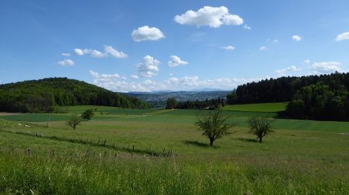 Kraštovaizdis, Saulė, Žalias, Gamta, Pieva, Ganykla, Krūmai, Debesys