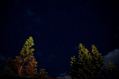 Kraštovaizdis, Žvaigždės, Astrofotografija, Medžiai