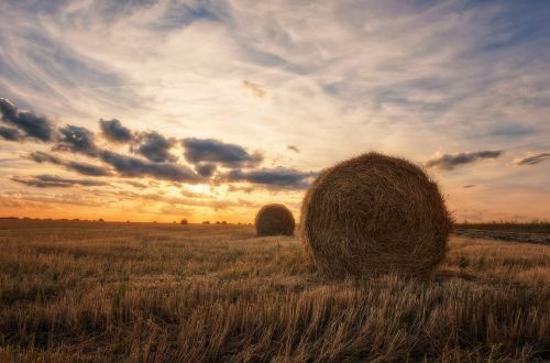 Kraštovaizdis,  Laukas,  Šiaudai,  Be Honoraro Mokesčio