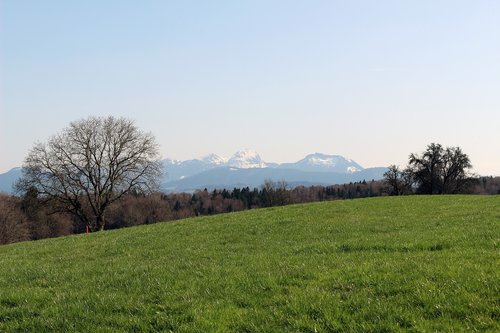 Kraštovaizdis,  Pobūdį,  Žolė,  Medis,  Panorama,  Wendelstein