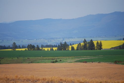 Kraštovaizdis,  Medis,  Laukas,  Žemdirbystė,  Dangus