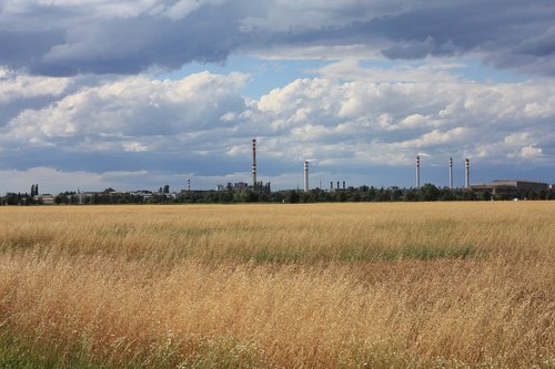 Kraštovaizdis,  Laukas,  Dangus