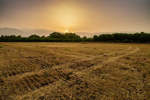 Kraštovaizdis,  Sunrise,  Laukas