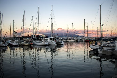 Kraštovaizdis,  Twilight,  Marina,  Porto,  Vandens,  Vandenynas,  Valtys,  Burlaivis,  Turizmas,  Piko Kalnų,  Horta,  Iš Fajalas,  Azorai,  Comanche