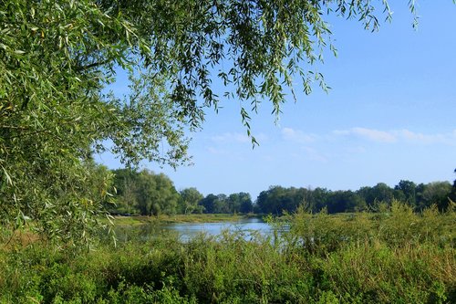 Kraštovaizdis,  Žalias,  Upė,  Peržiūrėti,  Vasara,  Pobūdį,  Žolė,  Aplinka