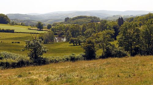 Kraštovaizdis, Medžiai, Laukas, Gamta, Žalias, Morvan, Burgundija