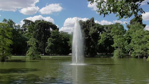Kraštovaizdis, Šaltinis, Parkas, Madride, Tvenkinys, Išėjimas Į Pensiją