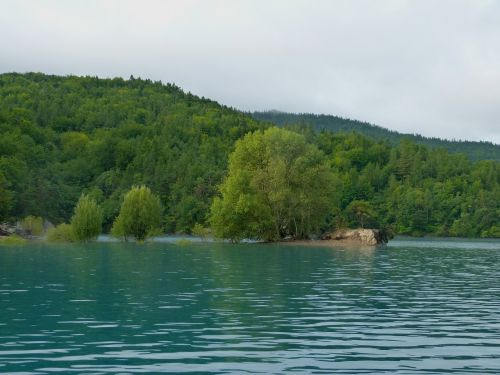 Kraštovaizdis, Gamta, Ežeras, Medžiai, Panardintas, Miškas, Vanduo, Apmąstymai, Vasara, Pagrįstas