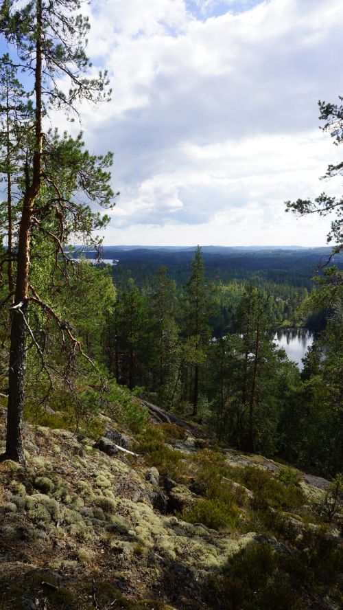 Kraštovaizdis, Miškas, Panorama, Rokas, Gamta, Dangus, Suomių