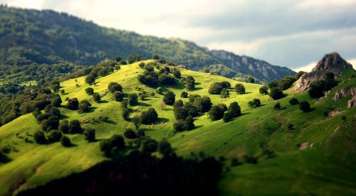 Kraštovaizdis, Medžiai, Žalias, Kalnas