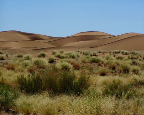 Kraštovaizdis, Afrika, Dykuma