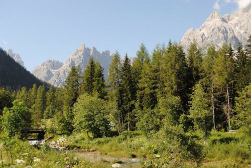 Kraštovaizdis, Dolomitai, Kalnai, Medžiai, Dolomiti Di Sesto, Žygiai, Italy