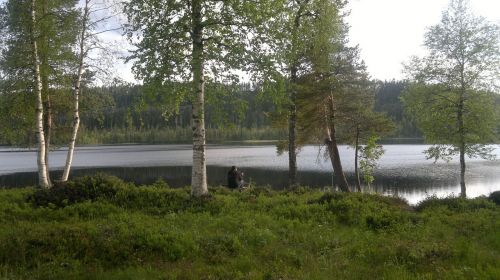 Kraštovaizdis, Gamta, Umea, Švedija