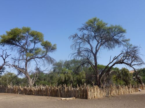 Kraštovaizdis, Medžiai, Namibija, Kelionė