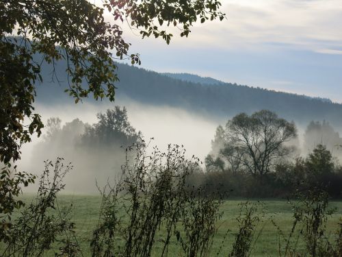 Kraštovaizdis, Rūkas, Migla, Medžiai, Jílové U Prahy, Chotouň, Ruduo