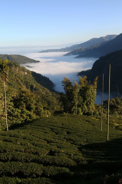 Kraštovaizdis, Debesys