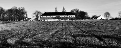 Kraštovaizdis, Laukas, Juoda Ir Balta