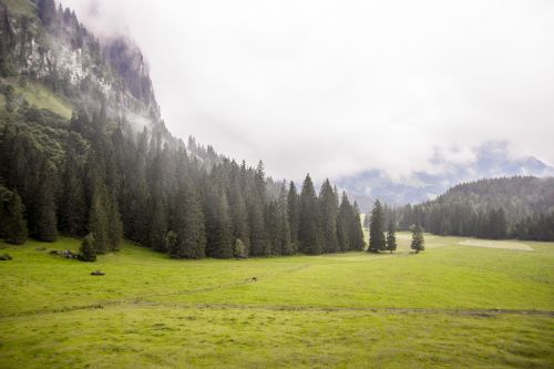 Kraštovaizdis, Žaluma, Gamta, Žalias, Lauke