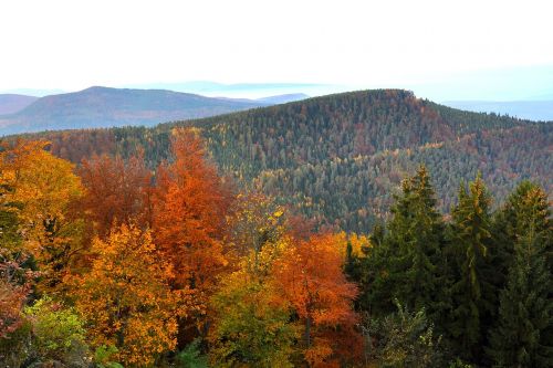 Kraštovaizdis, Kalnai, Ruduo, Kritimas, Sezonai, Slėnis, Dangus, Miškas, Medžiai, Miškai, Gamta, Lauke, Šalis, Kaimas, Kaimas, Gražus, Spalvos, Lapija, Spalvinga