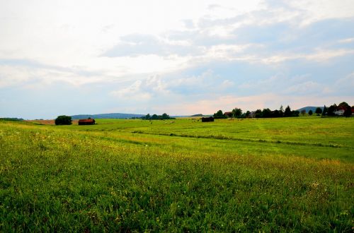 Kraštovaizdis, Dangus, Žolė, Laukas, Gamta