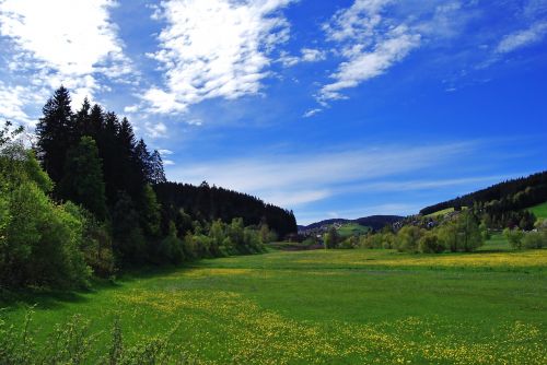 Kraštovaizdis, Pieva, Vasara, Dangus, Medžiai