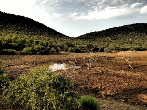 Kraštovaizdis, Afrika, Gamta, Laukiniai