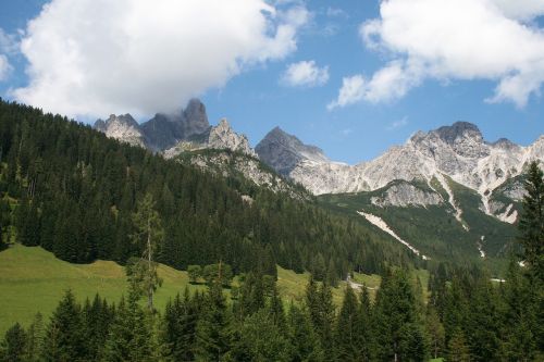 Austria, Pušis, Kalnas, Kalnas, Kraštovaizdis, Kalnai, Miškas