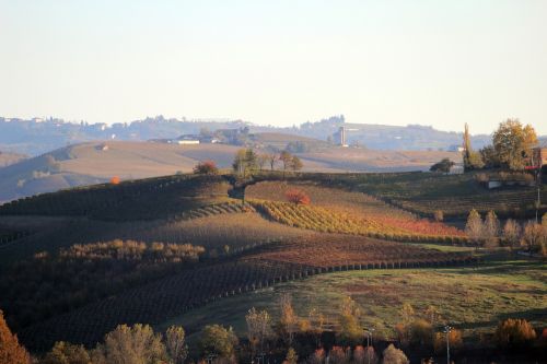 Langhe, Unesco, Barolo, Piemonte