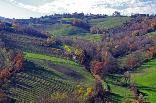 Langhirano, Parma, Emilia Romagna, Italy, Vynuogynai, Kalnai Langhirano, Parma Kalvos, Kampanija, Ruduo