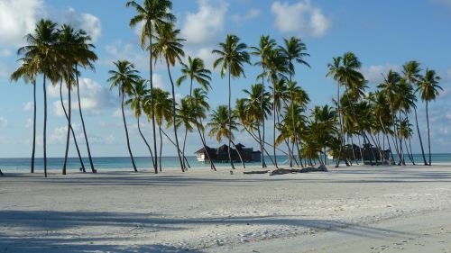 Lankanfushi, Maldivermna, Salos Rojus, Papludimys, Šventė, Prabangios Kelionės, Medaus Mėnuo